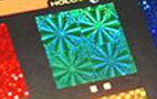 Hologram Printing Like the credit cards