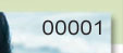Sequential Numbering